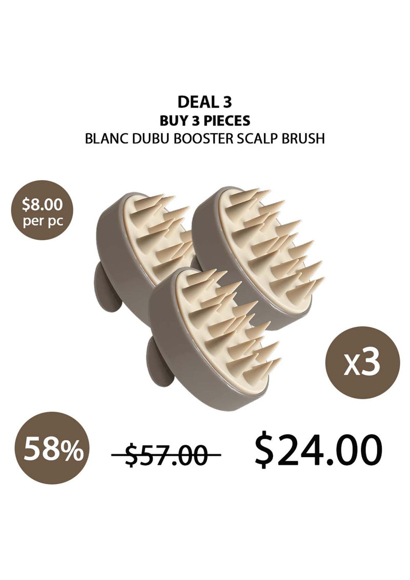 [BLANC DUBU] Booster Scalp Brush